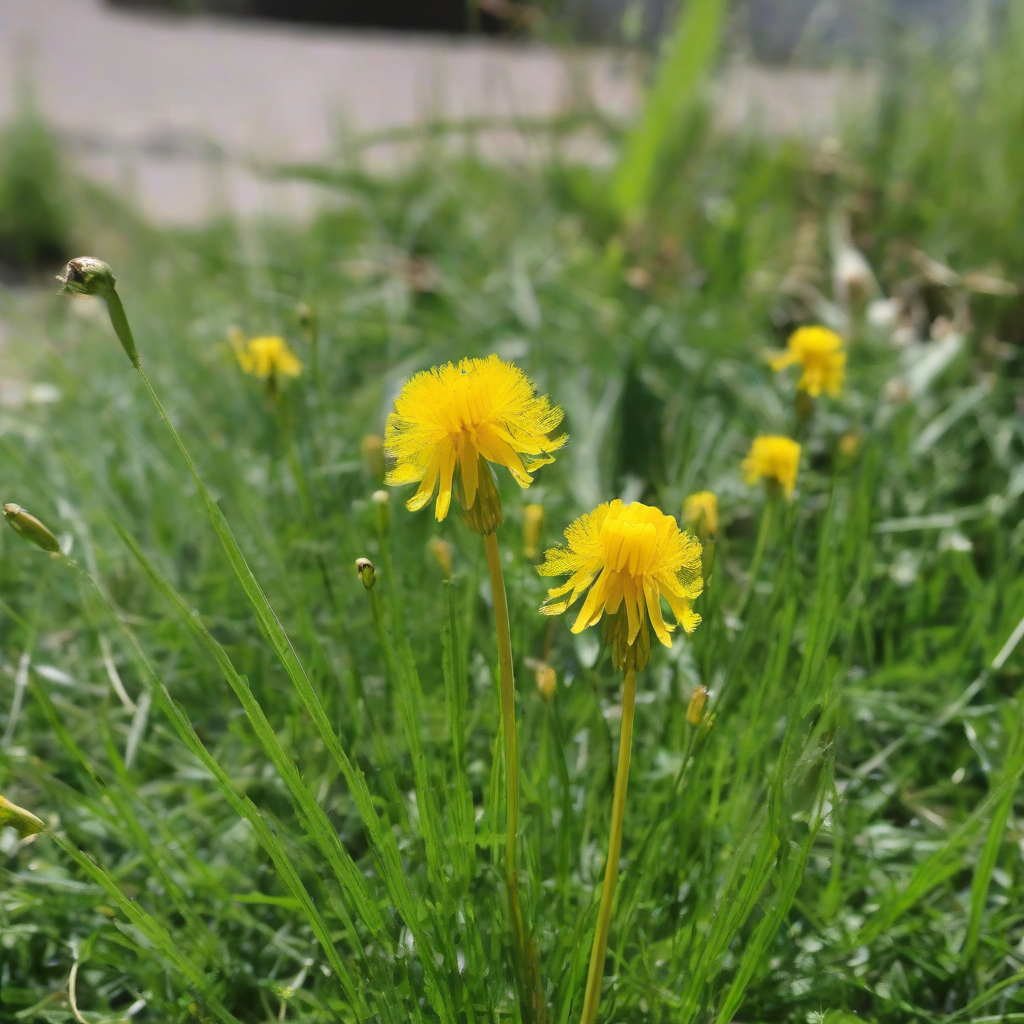 dandelion chickweed nettle gundermann bird foot violet in the garden by मुफ्त एआई छवि जनरेटर - बिना लॉगिन के✨ | AIGAZOU